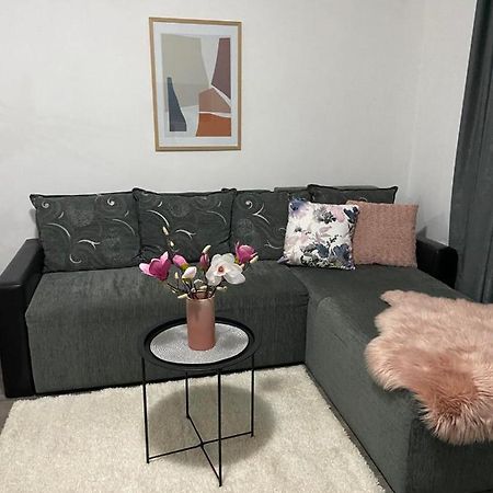 Apartman Aleksic Jagodina Εξωτερικό φωτογραφία