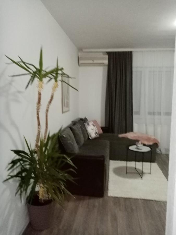 Apartman Aleksic Jagodina Εξωτερικό φωτογραφία